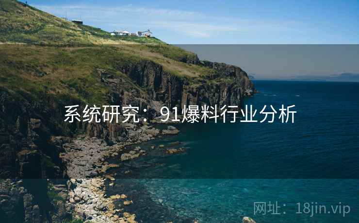 系统研究：91爆料行业分析