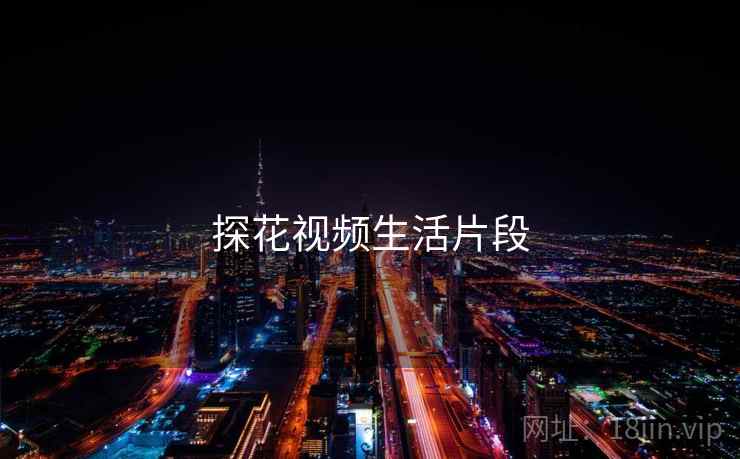探花视频生活片段