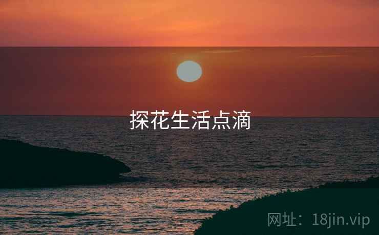 探花生活点滴