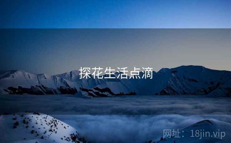 探花生活点滴