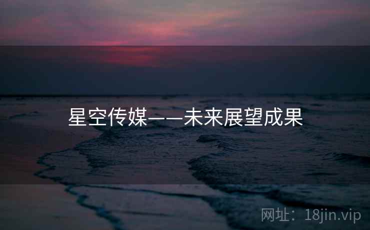 星空传媒——未来展望成果