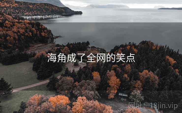 海角成了全网的笑点