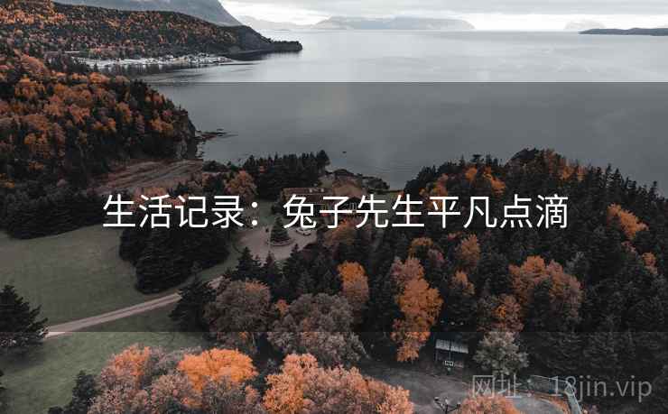 生活记录：兔子先生平凡点滴